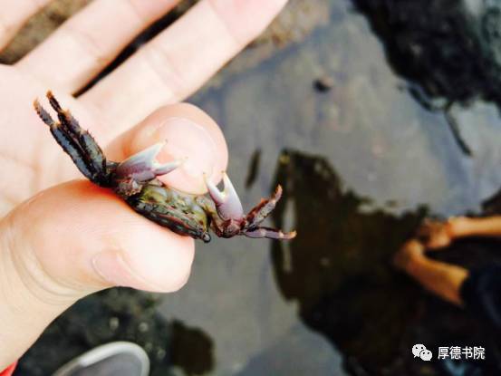 舟山东极岛一日游攻略_舟山群岛东极岛_舟山东极岛旅游攻略