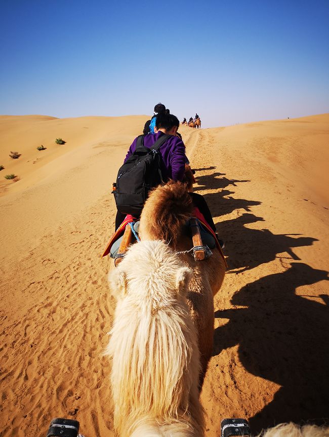 青海攻略西安湖旅游到哪里好玩_青海攻略西安湖旅游到那里_西安到青海湖旅游攻略