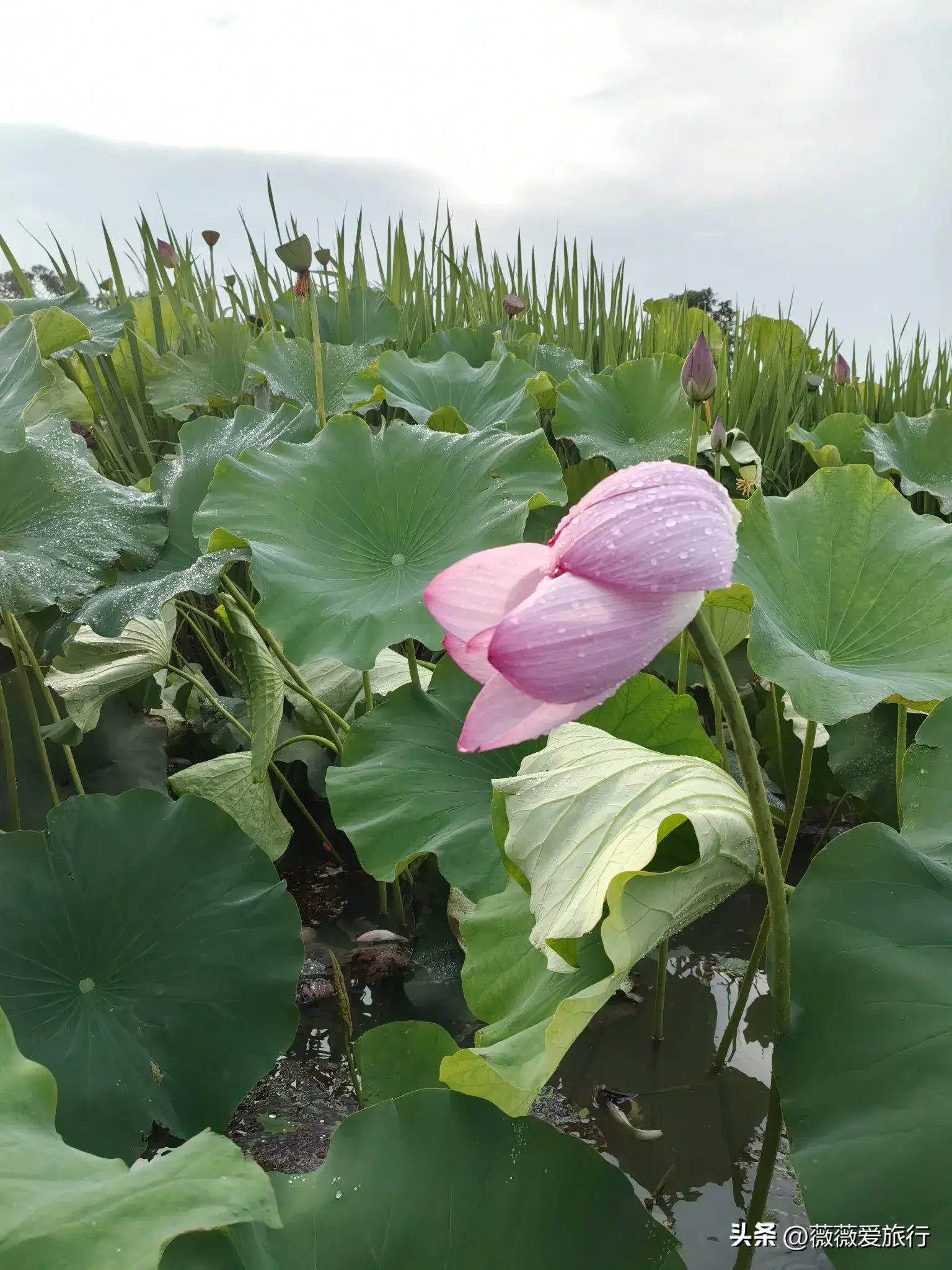 云贵旅游时间_云贵旅游攻略_云贵自驾游线路推荐