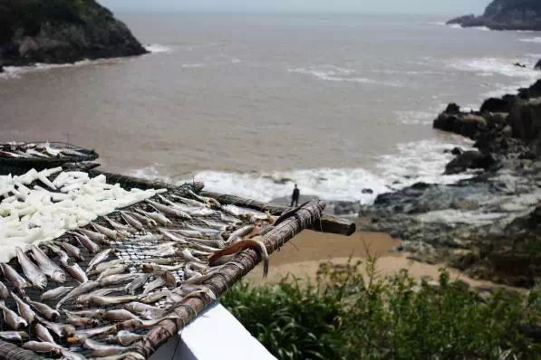 舟山东极岛一日游攻略_舟山东极岛2日游_舟山东极岛旅游攻略