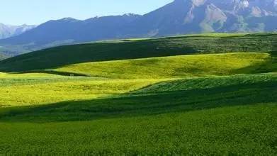 青海攻略西安湖旅游到哪里_青海湖到西安自驾游攻略_西安到青海湖旅游攻略