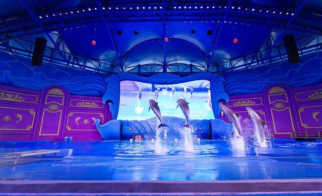 横店游玩攻略2日游_横店一日游旅游攻略_横店攻略一日游