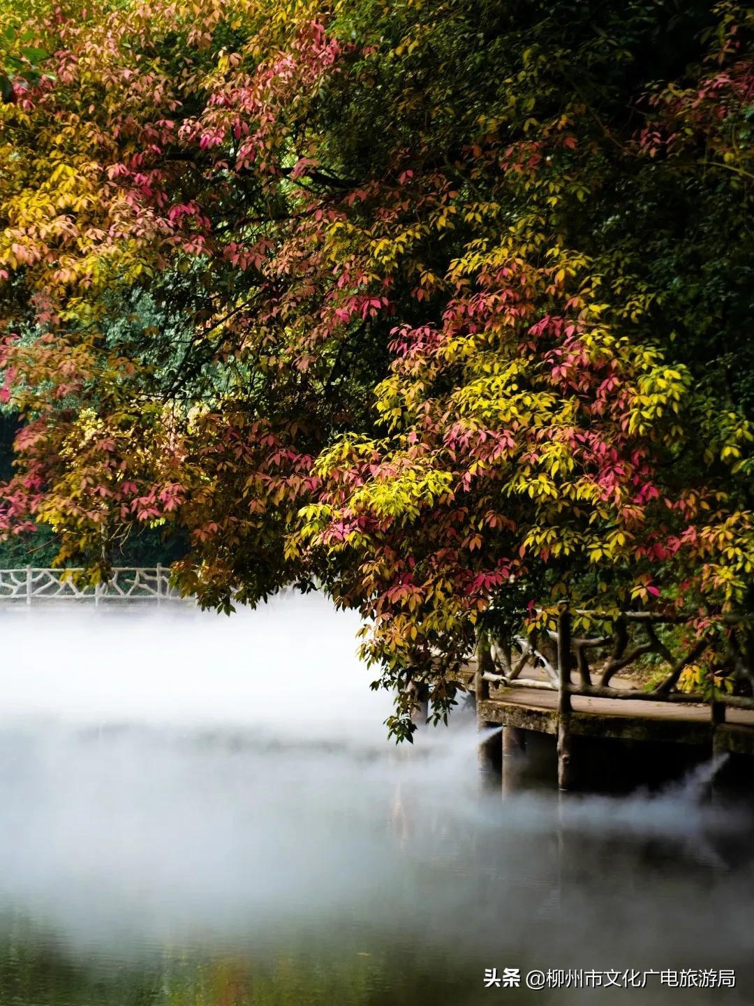云贵旅游有哪些好景点_云贵旅游攻略_云贵旅游路线