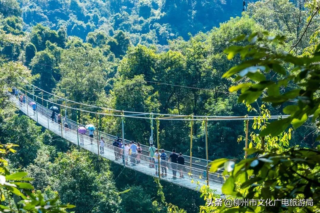 云贵旅游攻略_云贵旅游有哪些好景点_云贵旅游路线