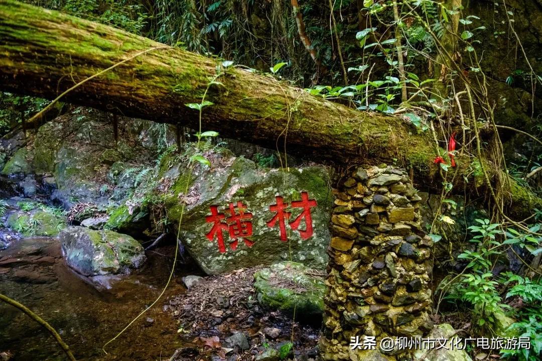 云贵旅游有哪些好景点_云贵旅游路线_云贵旅游攻略