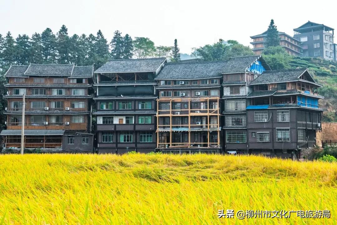 云贵旅游攻略_云贵旅游有哪些好景点_云贵旅游路线