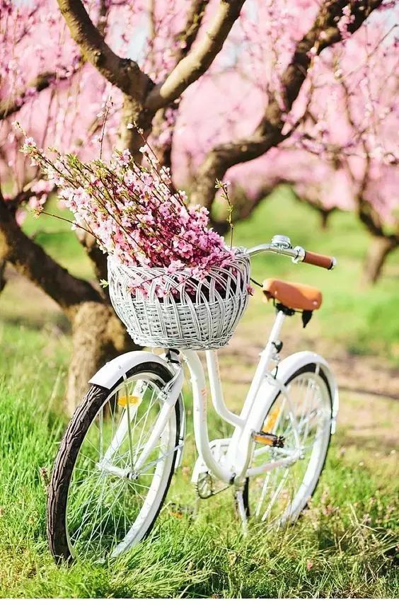 欧洲邮轮旅游攻略_欧洲游轮旅游_欧洲邮轮旅行