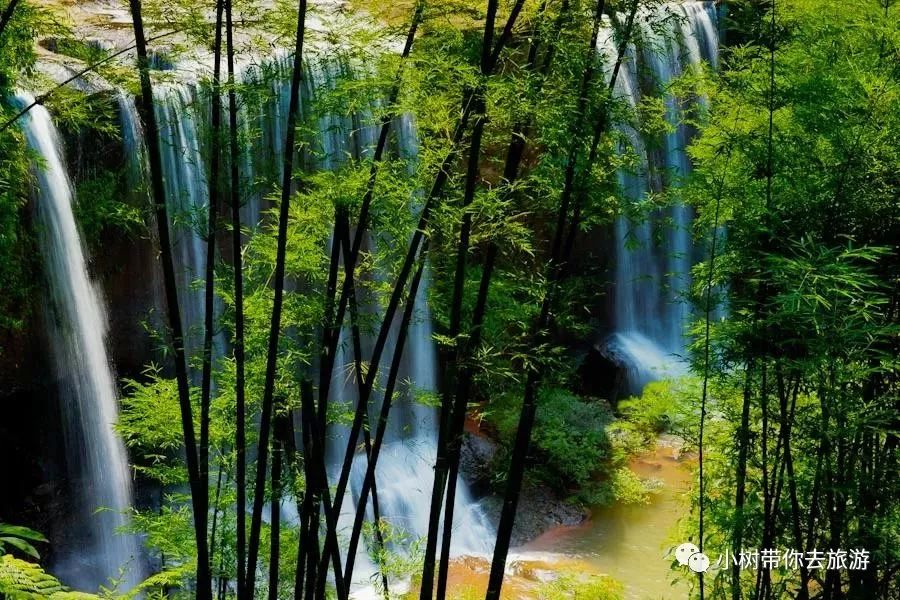 重庆天坑景区介绍_重庆天坑地缝景点视频_重庆天坑地缝旅游攻略
