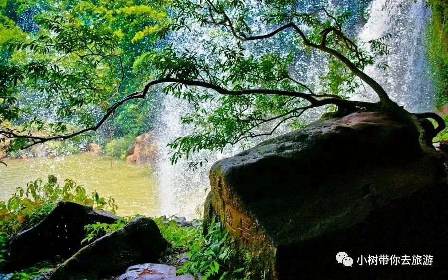 重庆天坑地缝旅游攻略_重庆天坑地缝景点视频_重庆天坑景区介绍