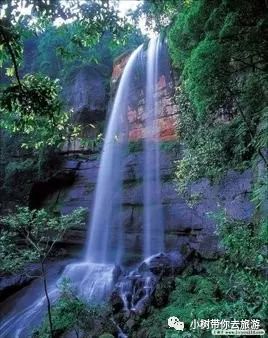 重庆天坑地缝旅游攻略_重庆天坑地缝景点视频_重庆天坑景区介绍