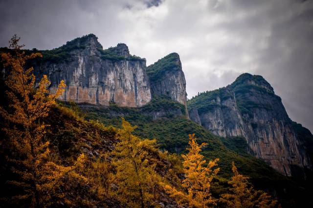 重庆天坑景区介绍_重庆天坑地缝旅游攻略_重庆天坑地缝景点视频