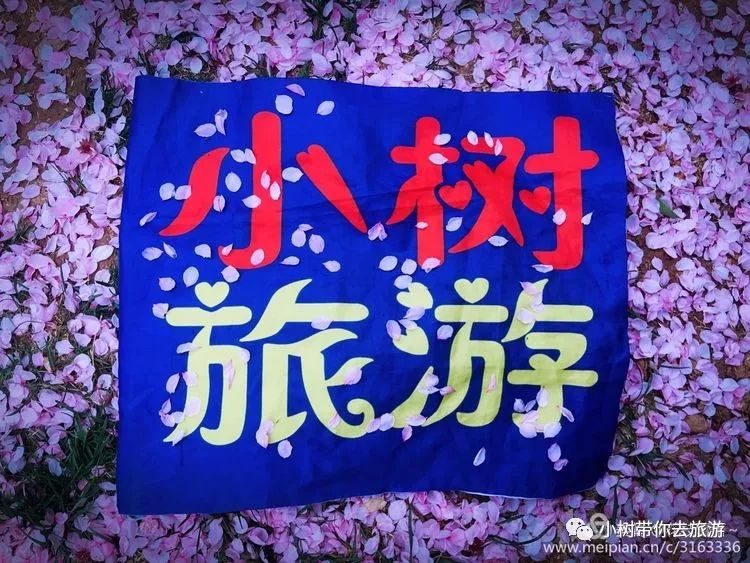 重庆天坑景区介绍_重庆天坑地缝旅游攻略_重庆天坑地缝景点视频