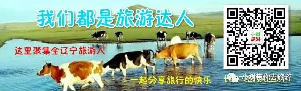 重庆天坑景区介绍_重庆天坑地缝景点视频_重庆天坑地缝旅游攻略