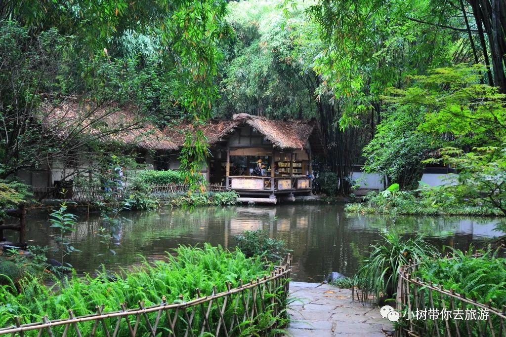 重庆天坑地缝旅游攻略_重庆天坑景区介绍_重庆天坑地缝景点视频