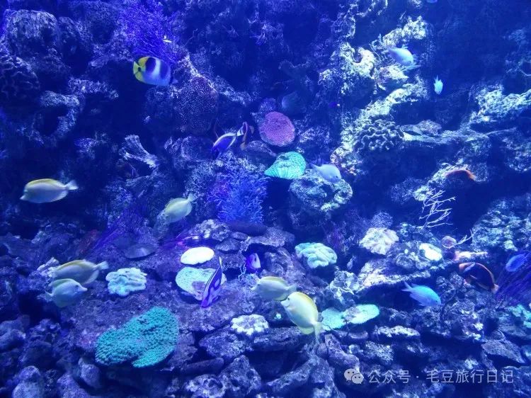 太原去澳门路线_太原到香港澳门旅游攻略_太原到澳门往返机票多少钱