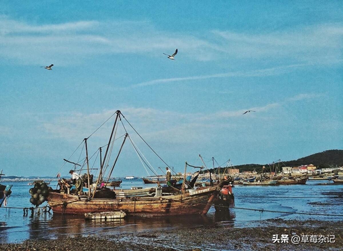 哈仙岛旅游攻略-攻略旅游仙岛的路线