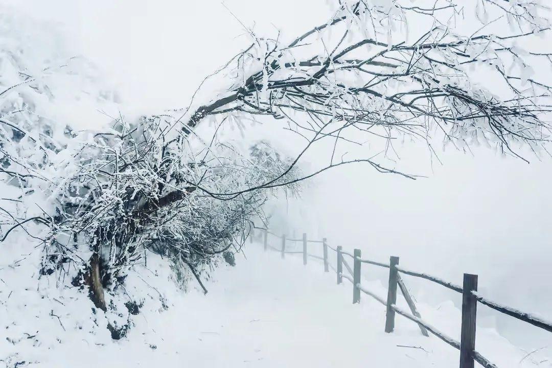 成都到峨眉山乐山旅游攻略_成都到峨眉山乐山旅游攻略_成都到峨眉山乐山旅游攻略