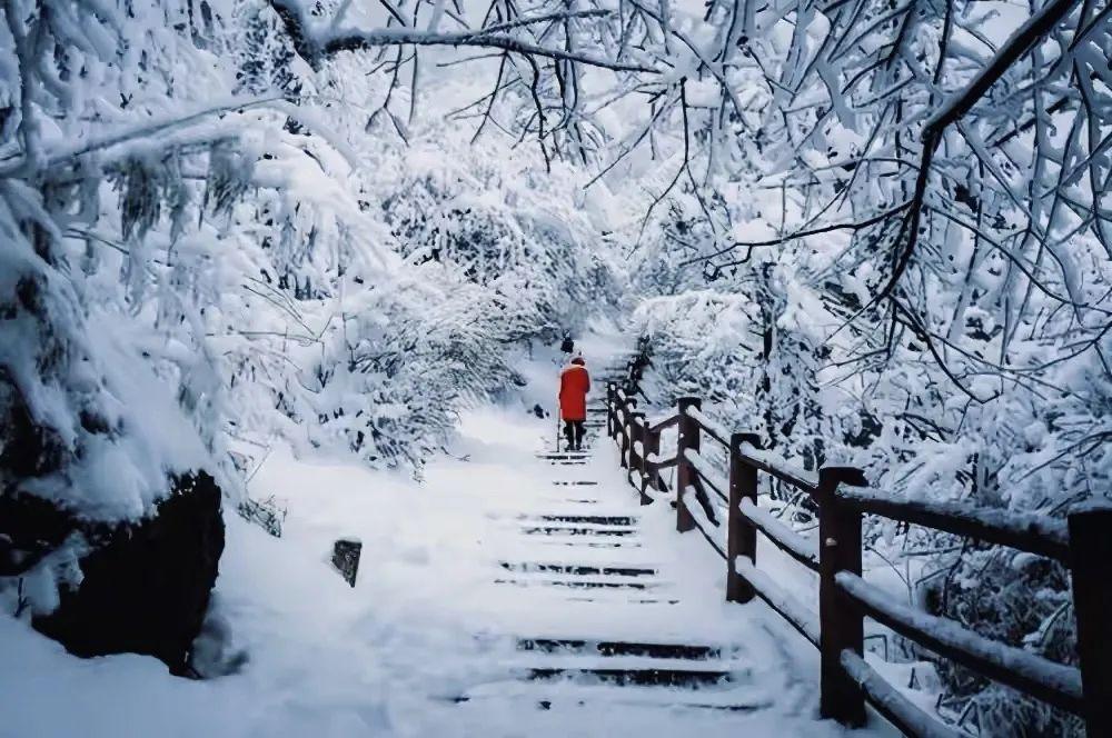 成都到峨眉山乐山旅游攻略_成都到峨眉山乐山旅游攻略_成都到峨眉山乐山旅游攻略