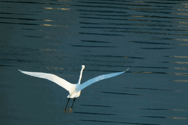 春季秦皇岛旅游攻略-秦皇岛旅游全攻略