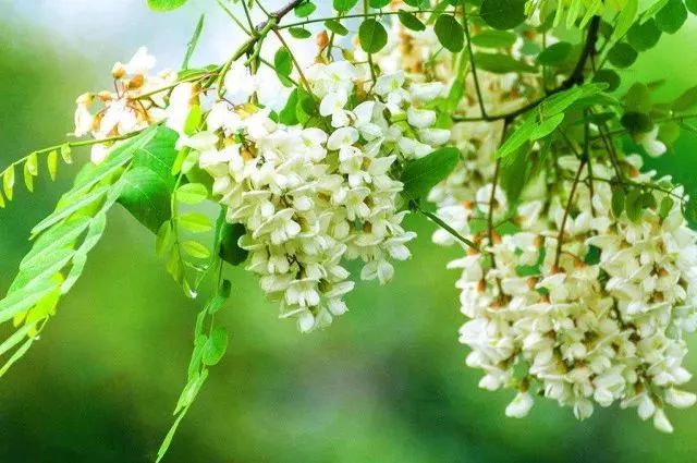 春季秦皇岛旅游攻略_夏季秦皇岛旅游攻略_秦皇岛旅游全攻略