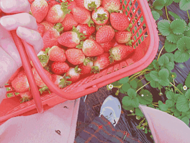 夏季秦皇岛旅游攻略_春季秦皇岛旅游攻略_秦皇岛旅游全攻略