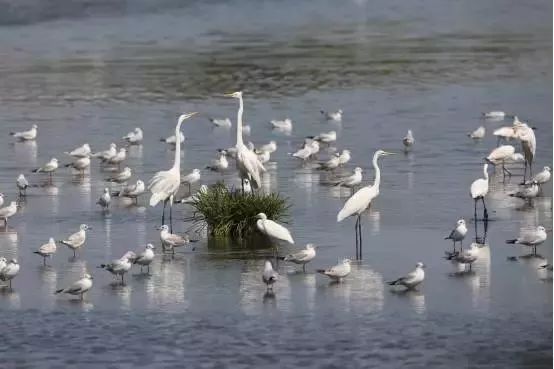 夏季秦皇岛旅游攻略_春季秦皇岛旅游攻略_秦皇岛旅游全攻略