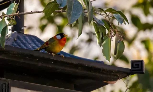 夏季秦皇岛旅游攻略_秦皇岛旅游全攻略_春季秦皇岛旅游攻略