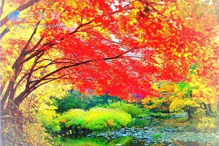 沈阳本溪旅游攻略_沈阳攻略本溪旅游路线_沈阳本溪旅游攻略必去景点大全