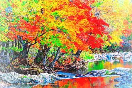 沈阳攻略本溪旅游路线_沈阳本溪旅游攻略_沈阳本溪旅游攻略必去景点大全