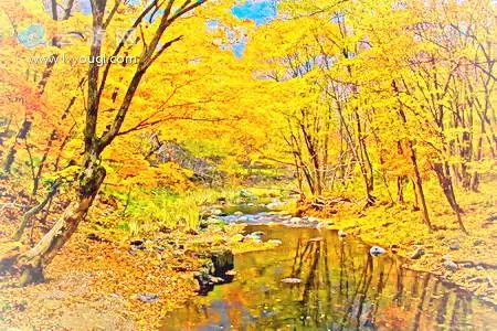 沈阳本溪旅游攻略_沈阳攻略本溪旅游路线_沈阳本溪旅游攻略必去景点大全