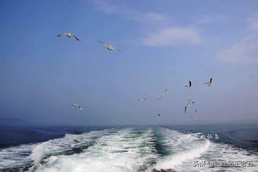 仙岛旅游发展有限公司_哈仙岛旅游攻略_攻略旅游仙岛的路线