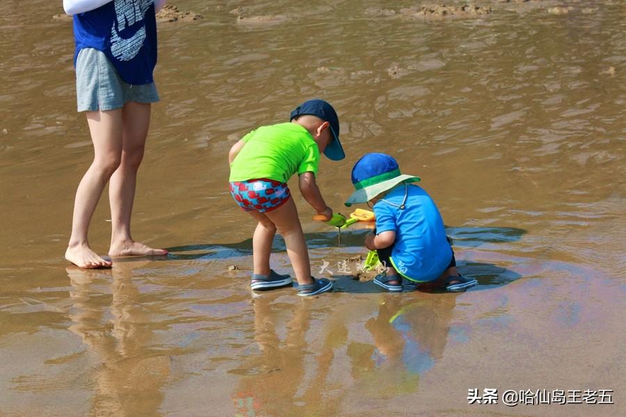 攻略旅游仙岛的路线_哈仙岛旅游攻略_仙岛旅游发展有限公司
