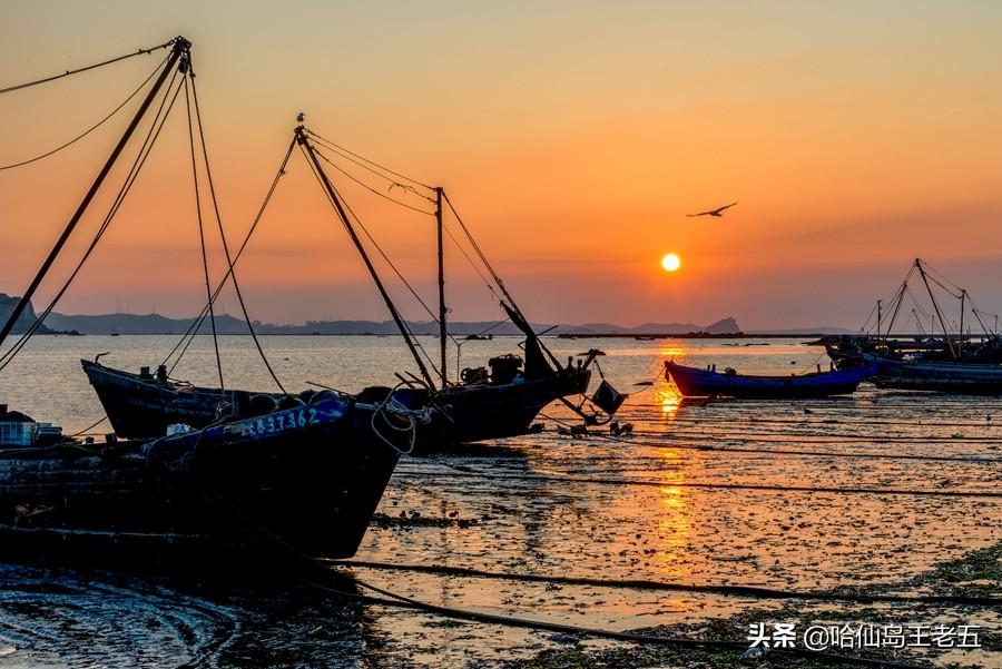 哈仙岛旅游攻略-仙岛风景