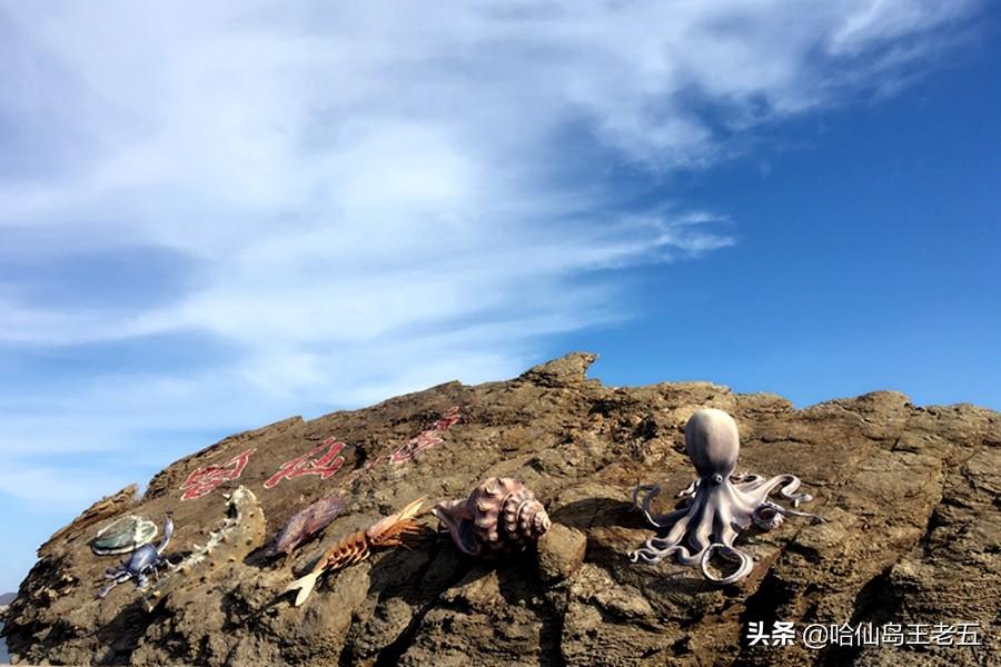 仙岛旅游发展有限公司_哈仙岛旅游攻略_仙岛风景