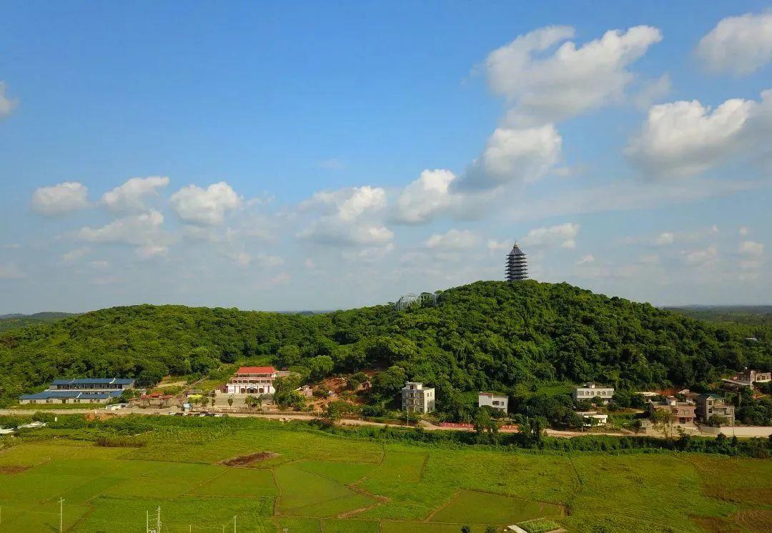 湛江市内旅游攻略-湛江市区旅游攻略