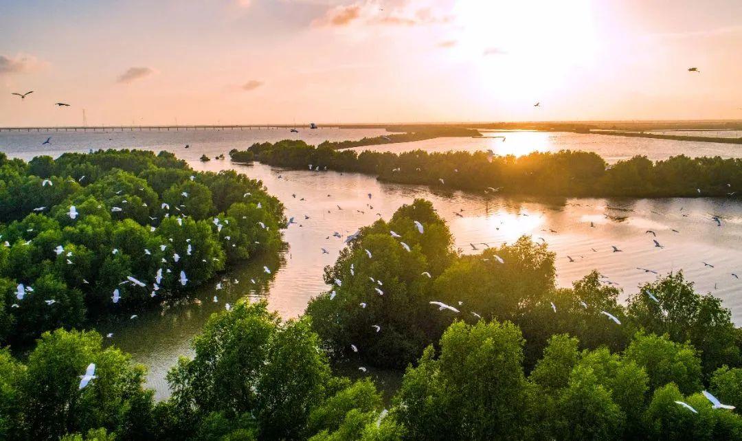 湛江市内旅游攻略-湛江市区旅游攻略(图8) 湛江市内旅游攻略_湛江攻略旅游市内景点推荐_湛江市区旅游攻略