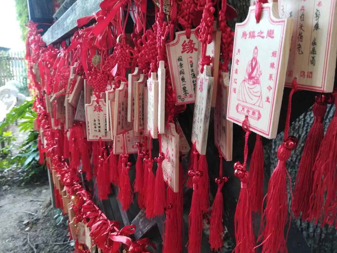 乌镇旅游攻略住宿推荐-乌镇里住宿多少钱(图7) 乌镇旅游住宿类型_乌镇旅游攻略住宿推荐_乌镇里住宿多少钱