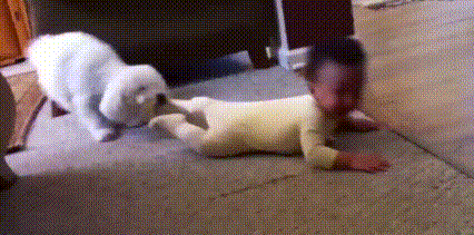 时尚购物电视购物在线直播-时尚电视购物直播节目(图8) 电视购物视频直播_时尚购物电视购物在线直播_时尚电视购物直播节目