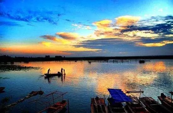 白洋淀荷花大观园旅游攻略-白洋淀菏花大观园