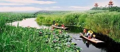 白洋淀荷花大观园旅游攻略-白洋淀菏花大观园(图3) 白洋淀荷花大观园有多少种荷花_白洋淀荷花大观园旅游攻略_白洋淀菏花大观园