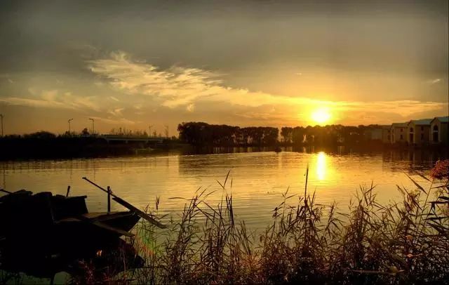 白洋淀荷花大观园旅游攻略-白洋淀菏花大观园(图4) 白洋淀荷花大观园旅游攻略_白洋淀菏花大观园_白洋淀荷花大观园有多少种荷花