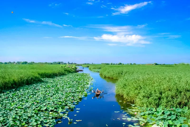 白洋淀荷花大观园旅游攻略-白洋淀荷花大观园民俗寨宾馆(图15) 河北白洋淀荷花大观园有限公司_白洋淀荷花大观园旅游攻略_白洋淀荷花大观园民俗寨宾馆