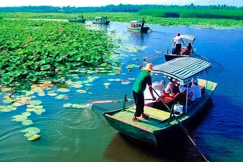 白洋淀荷花大观园旅游攻略-白洋淀荷花大观园民俗寨宾馆(图19) 白洋淀荷花大观园旅游攻略_河北白洋淀荷花大观园有限公司_白洋淀荷花大观园民俗寨宾馆