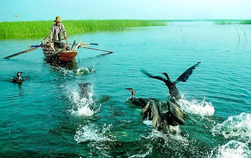 白洋淀荷花大观园旅游攻略-白洋淀荷花大观园民俗寨宾馆(图25) 白洋淀荷花大观园民俗寨宾馆_河北白洋淀荷花大观园有限公司_白洋淀荷花大观园旅游攻略