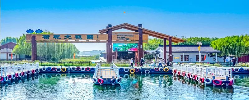 白洋淀荷花大观园旅游攻略-白洋淀荷花大观园民俗寨宾馆(图5) 白洋淀荷花大观园民俗寨宾馆_河北白洋淀荷花大观园有限公司_白洋淀荷花大观园旅游攻略