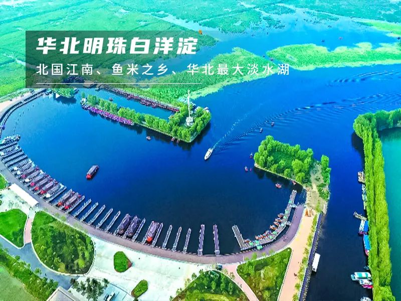 白洋淀荷花大观园旅游攻略-白洋淀荷花大观园民俗寨宾馆(图6) 白洋淀荷花大观园民俗寨宾馆_白洋淀荷花大观园旅游攻略_河北白洋淀荷花大观园有限公司