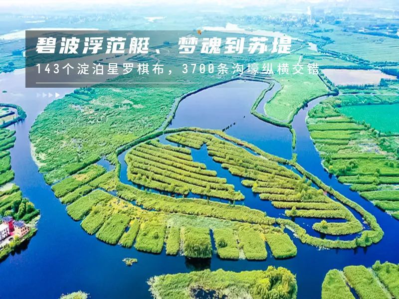 白洋淀荷花大观园旅游攻略-白洋淀荷花大观园民俗寨宾馆(图8) 白洋淀荷花大观园旅游攻略_河北白洋淀荷花大观园有限公司_白洋淀荷花大观园民俗寨宾馆