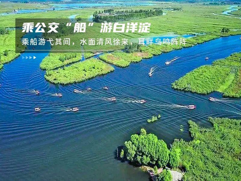 白洋淀荷花大观园旅游攻略-白洋淀荷花大观园民俗寨宾馆(图9) 白洋淀荷花大观园民俗寨宾馆_白洋淀荷花大观园旅游攻略_河北白洋淀荷花大观园有限公司