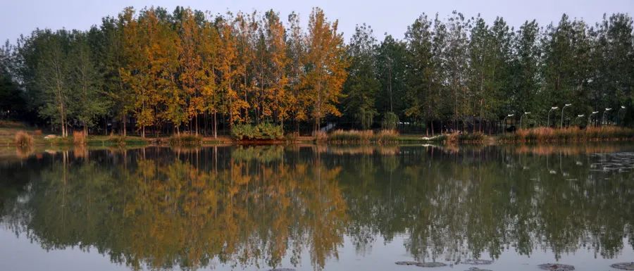 皖西大裂谷旅游攻略-皖西大裂谷现场门票多少钱(图16) 皖西大裂谷一天能玩完吗_皖西大裂谷旅游攻略_皖西大裂谷现场门票多少钱