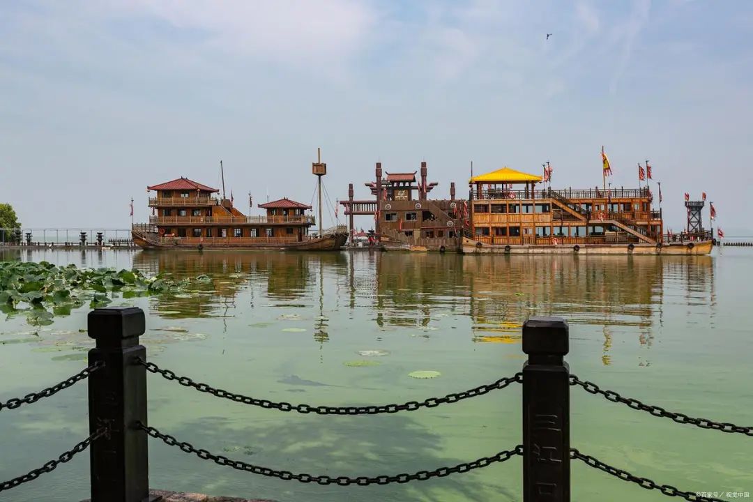 白洋淀荷花大观园旅游攻略-白洋淀菏花大观园(图8) 白洋淀荷花大观园旅游攻略_白洋淀菏花大观园_河北白洋淀荷花大观园有限公司